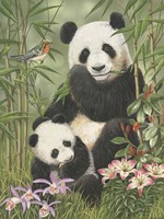 Panda Paradise Fine Art Print