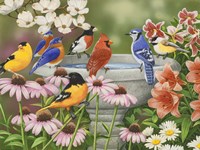Garden Birdbath Fine Art Print