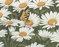 Daisies And Butterfly Fine Art Print