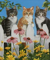 Backyard Kittens Fine Art Print