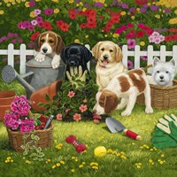 Garden Puppies Framed Print