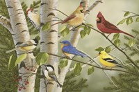 Summer Friends Fine Art Print