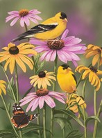 Golden Finches Fine Art Print