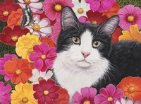 Phoebe Fine Art Print