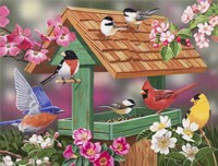 Feathers and Flowers Fine Art Print