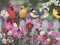 Song Birds and Cosmos Fine Art Print
