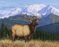 Surveying His Domain Fine Art Print