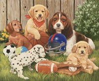 Bring It! Fine Art Print