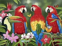 Tropical Friends Fine Art Print