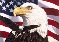 Eagle And Flag Fine Art Print