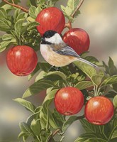 Orchard Guest Fine Art Print