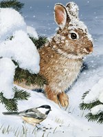 Winter Cottontail And Friend Fine Art Print