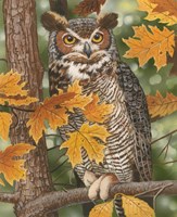 Autumn Owl Fine Art Print