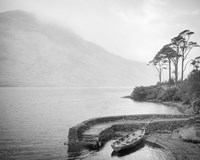 Curragh Fine Art Print