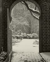 Secret Garden Redux Fine Art Print