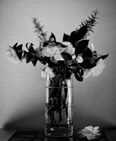 Snow Day Fine Art Print