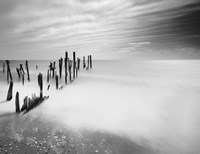 Fortescue Fine Art Print