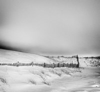 The Mock Turtle's Lament Monochrome Fine Art Print