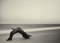 Unititled Fine Art Print