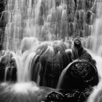 Velo de Novia Fine Art Print