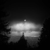 Pericardial Window Fine Art Print