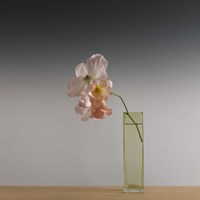 Sparta Fine Art Print