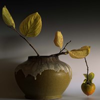 Still Life with Persimmon Fine Art Print