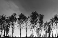 Xochimilco Fine Art Print