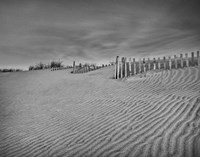 Anglesea Moire II Fine Art Print