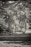 Retaining Wall Fine Art Print