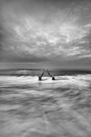 Yin Yang Fine Art Print