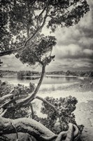 Snow Blind Fine Art Print