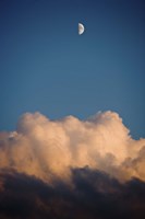 Locus Ceruleus Fine Art Print