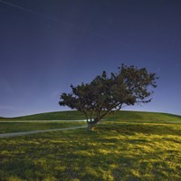 The Night Cyclist Fine Art Print