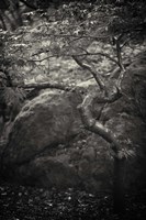 en plein air Fine Art Print