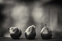 Three Red Pears on the Precipice Fine Art Print