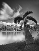 Strange Oasis Fine Art Print