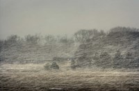 Snow Train to China Fine Art Print