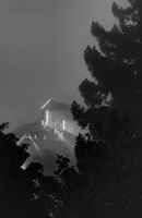 Morning Fog Fine Art Print