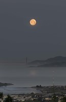 Go Babalu Fine Art Print