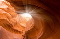 Searching Light II Fine Art Print