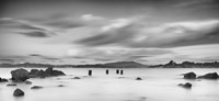 Four Pilings and Mount Tam Fine Art Print