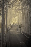 All to myself Alone Fine Art Print