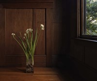 Invidia Fine Art Print