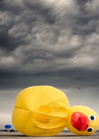 Oh the Humanity Fine Art Print