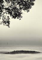 Rumor Fine Art Print