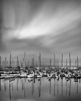 Night Forest Fine Art Print