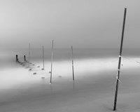 Share the Same Skin Fine Art Print