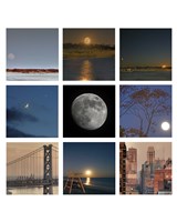 Luna - squares Fine Art Print