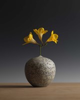 Three Freesia Blossoms Fine Art Print